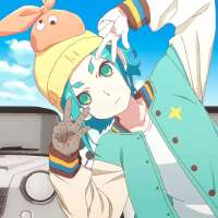 736x736