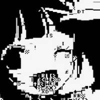 384x384