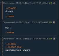 385x366