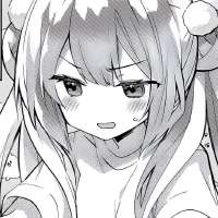 736x736