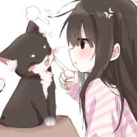 736x736