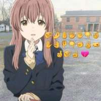 736x736