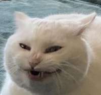 349x329