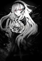 2031x2952