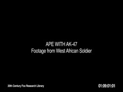 448x336