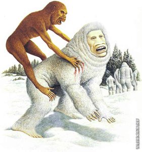 55