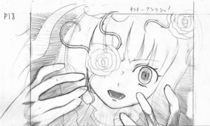 253