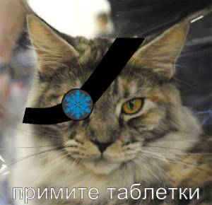 179