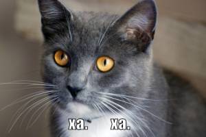 148