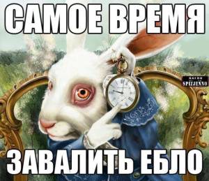 126
