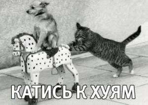 60