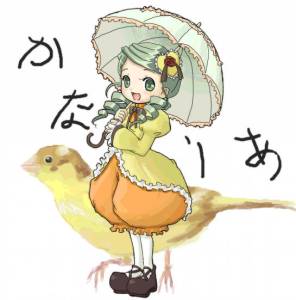 46