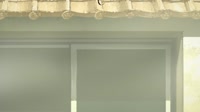 1280x720