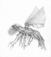 1200x1319