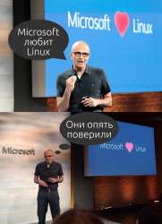 786x1080