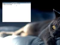 1024x768