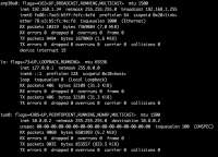 1262x910