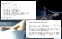 1280x800
