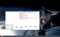 1280x800