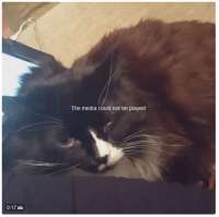 400x399