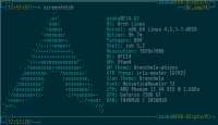 796x458