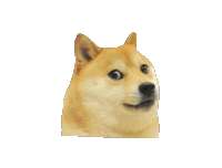400x304