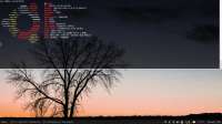 1366x768
