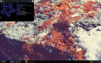 1440x900