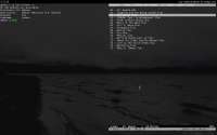 1280x800
