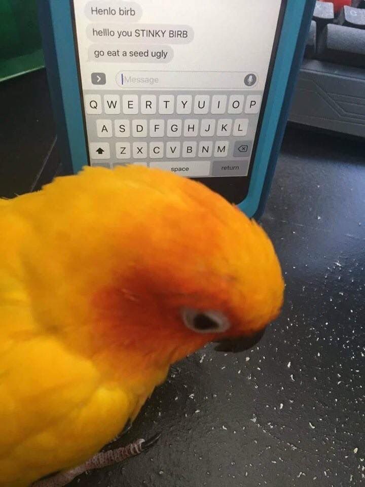 720x960