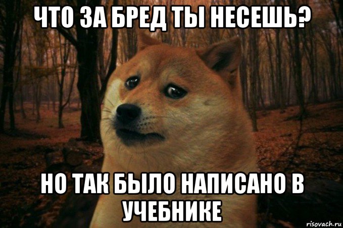 679x452