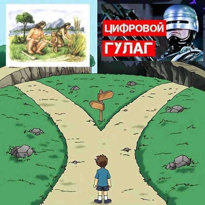 659x660