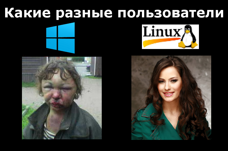 800x530