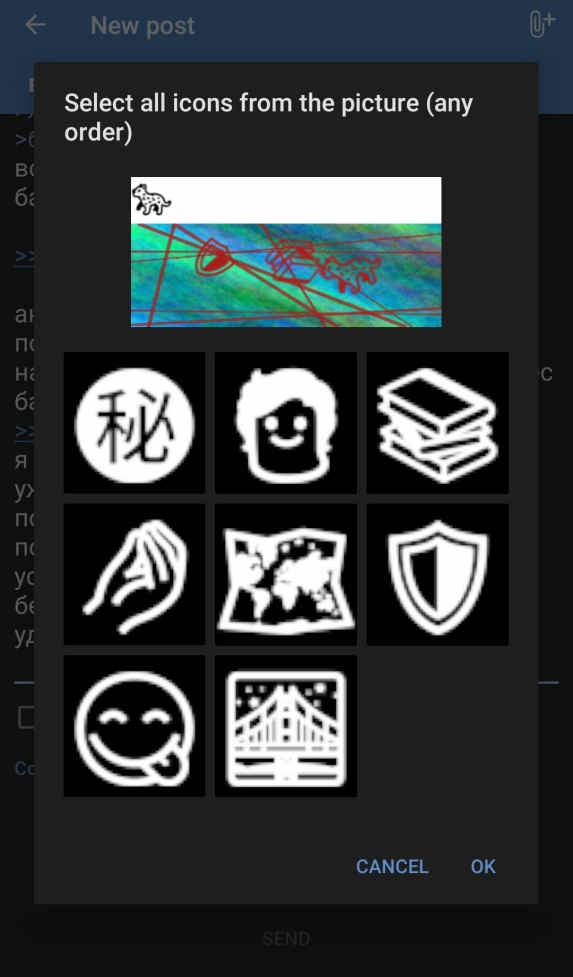573x977