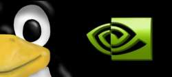 600x272