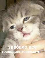 838x1080