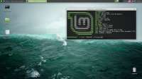 1366x768