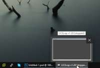 493x337