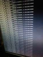 593x790