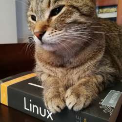 480x480