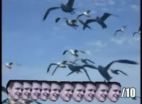 490x360