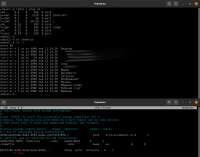 1251x983