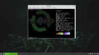 1366x768