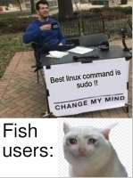 432x577