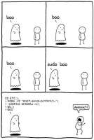 534x794