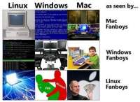 424x310