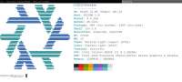 1018x462