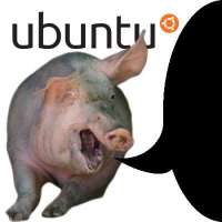 400x400