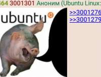 417x320
