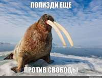 1000x770